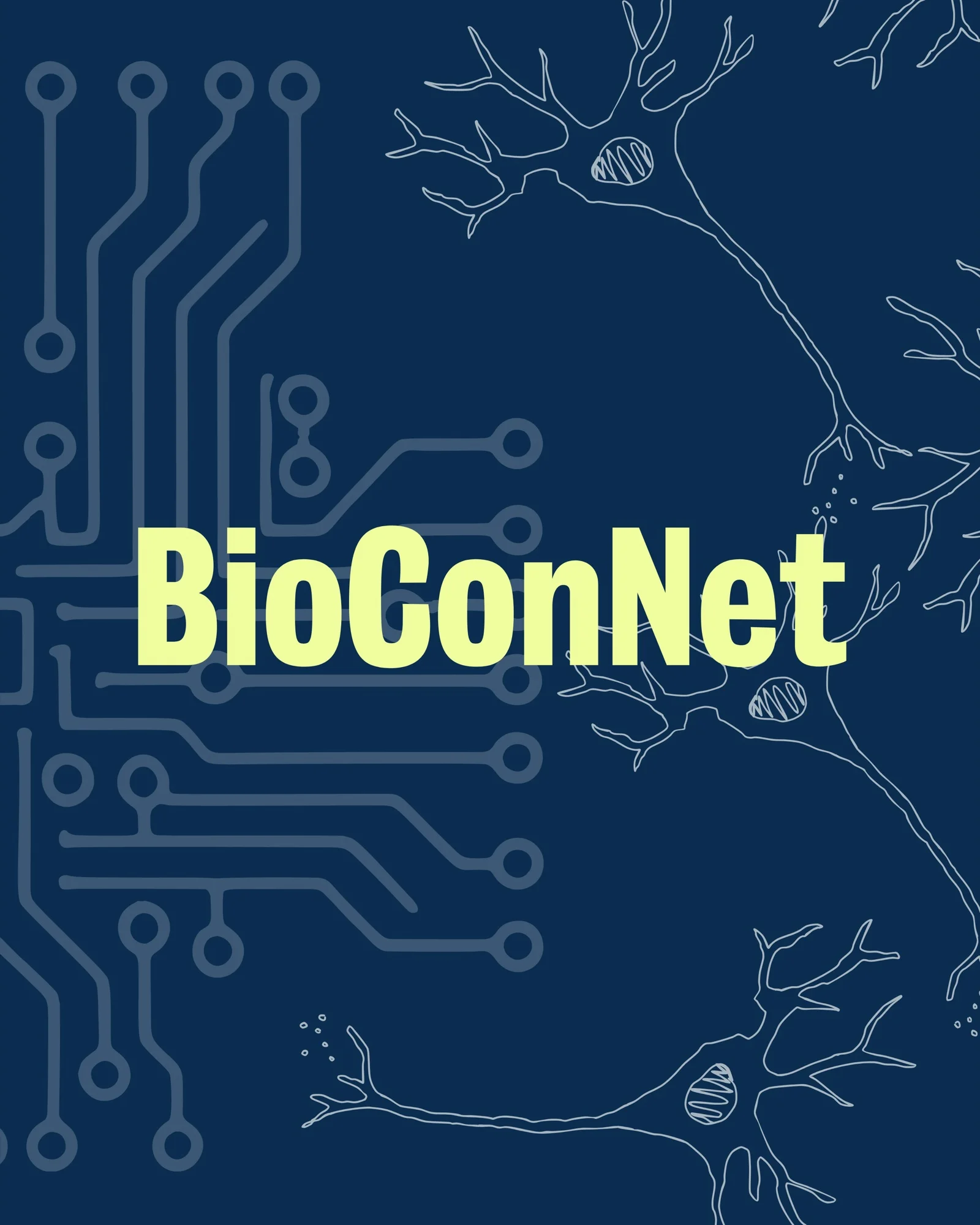 Bioengineered neuronal 'circuit board' mimics conditions of the human brain