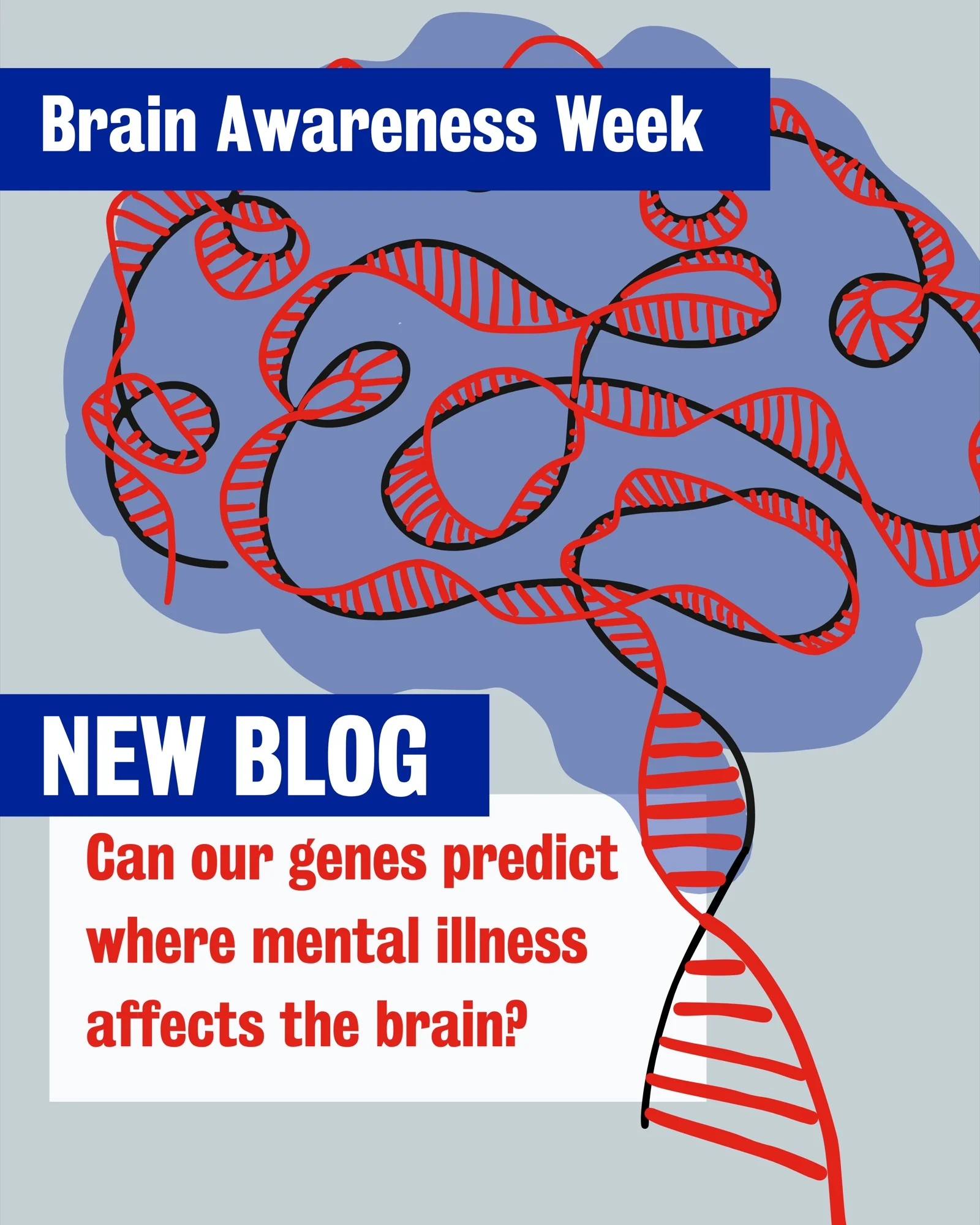 Can our genes predict where mental illness affects the brain?