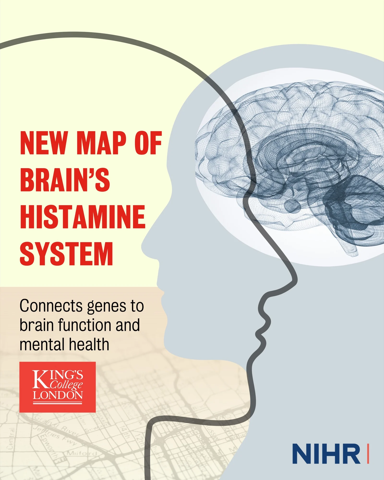 Brain histamine map connects genes to brain function and mental health