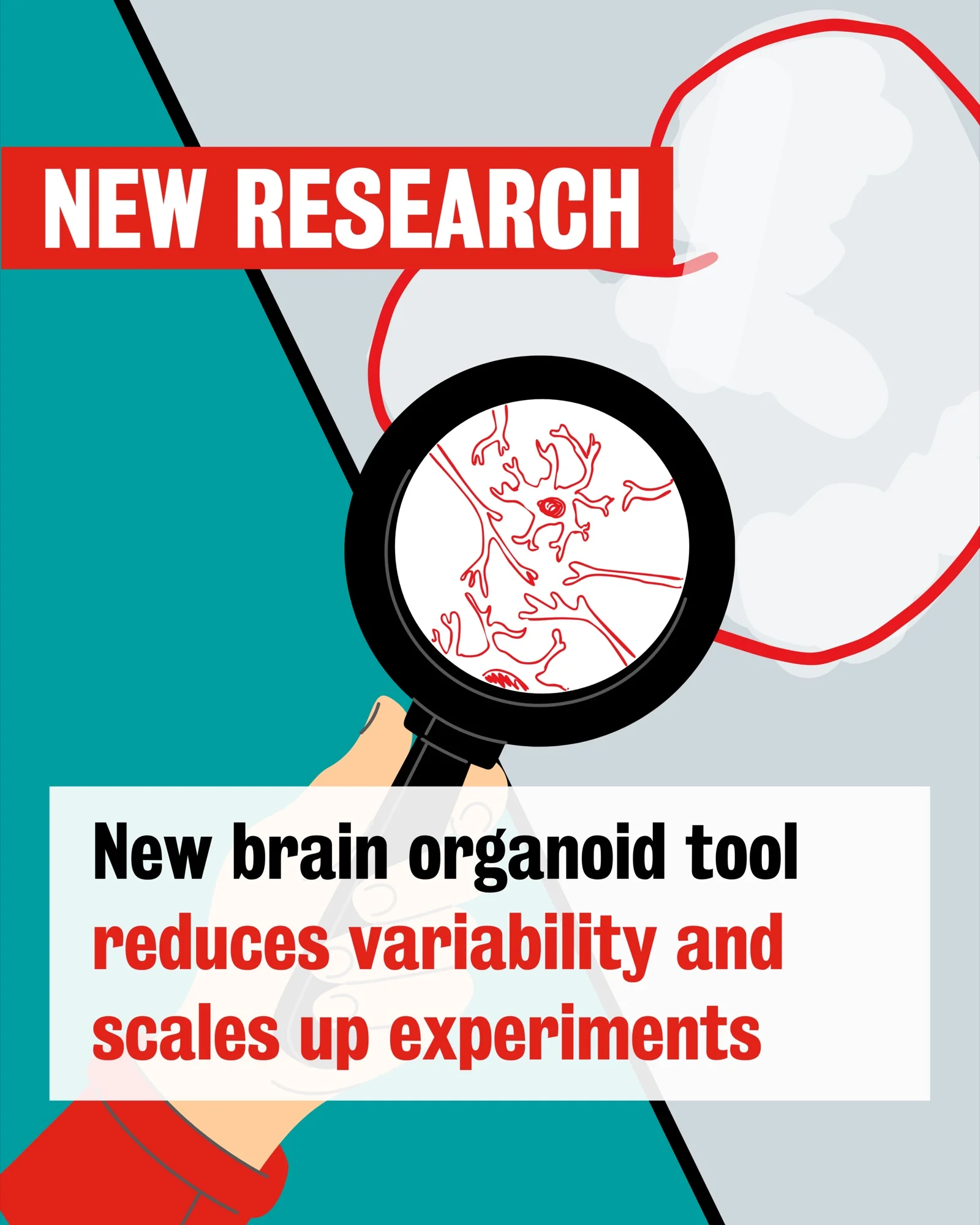 A long-term and scalable system to record from neural organoids